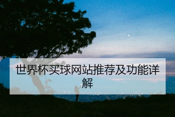 世界杯买球网站推荐及功能详解