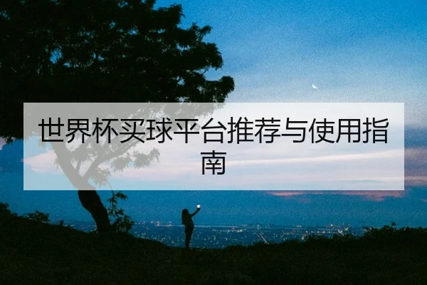 世界杯买球平台推荐与使用指南