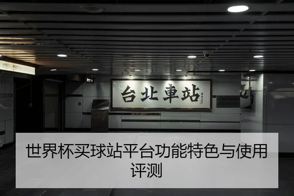 世界杯买球站平台功能特色与使用评测