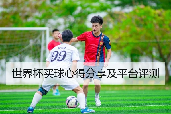 世界杯买球心得分享及平台评测