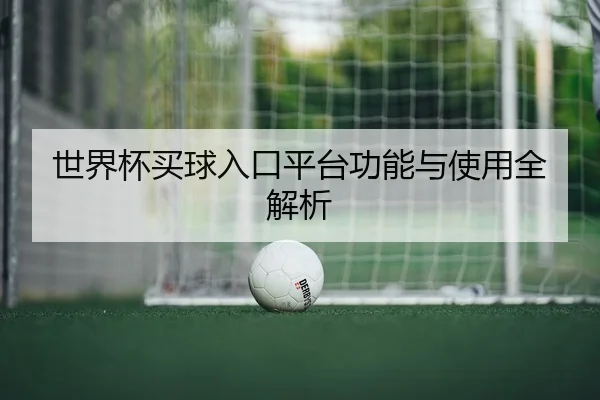 世界杯买球入口平台功能与使用全解析