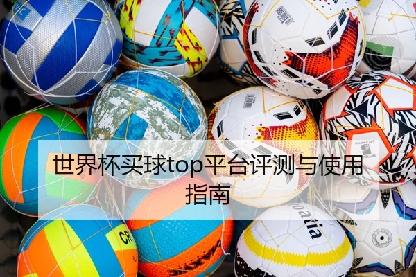 世界杯买球top平台评测与使用指南