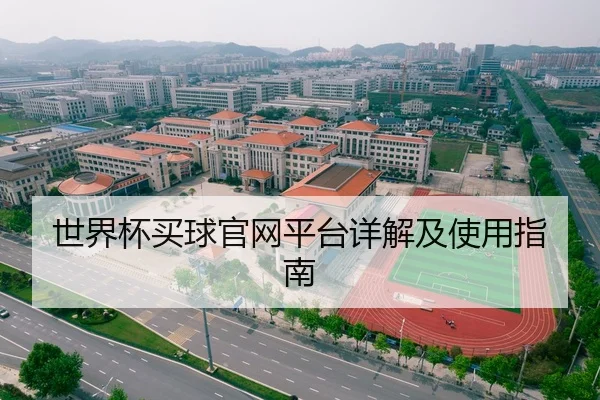 世界杯买球官网平台详解及使用指南