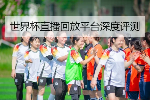 世界杯直播回放平台深度评测