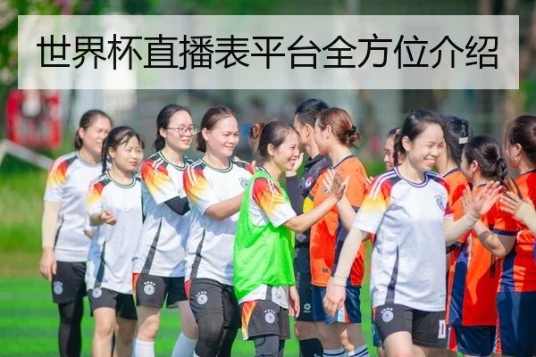 世界杯直播表平台全方位介绍