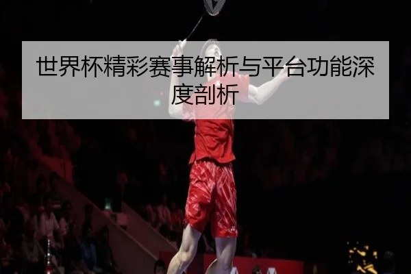 世界杯精彩赛事解析与平台功能深度剖析
