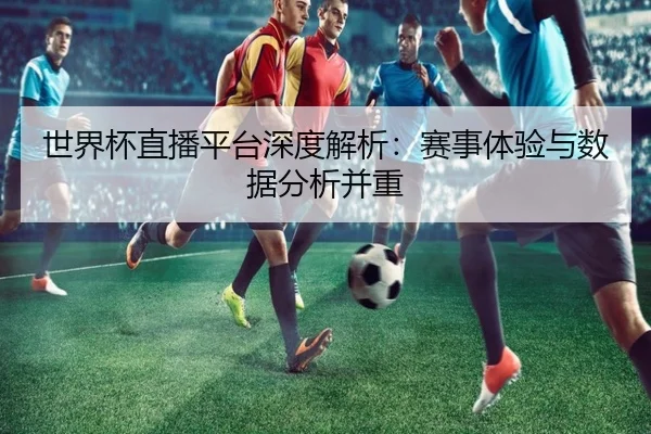 世界杯直播平台深度解析：赛事体验与数据分析并重