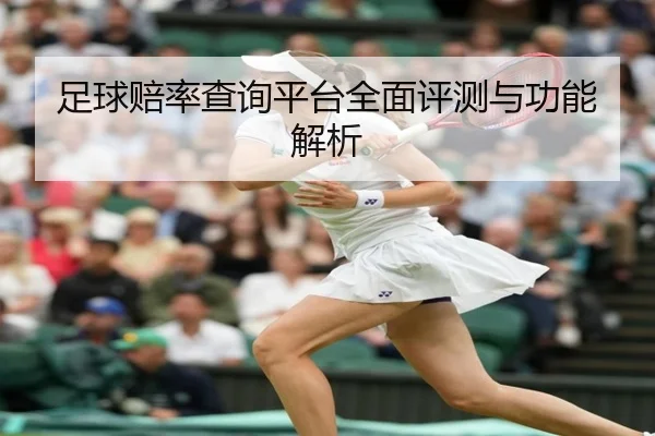 足球赔率查询平台全面评测与功能解析