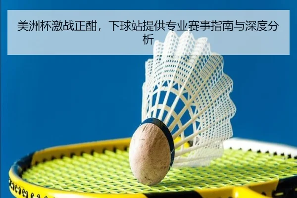 美洲杯激战正酣，下球站提供专业赛事指南与深度分析