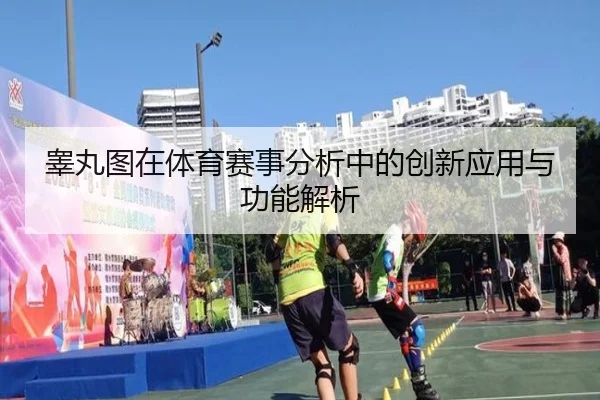 睾丸图在体育赛事分析中的创新应用与功能解析